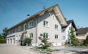 12 Kirschen